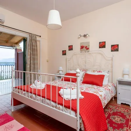 Bougainvillea Gimari