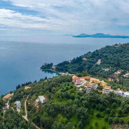 Bougainvillea * Gimari