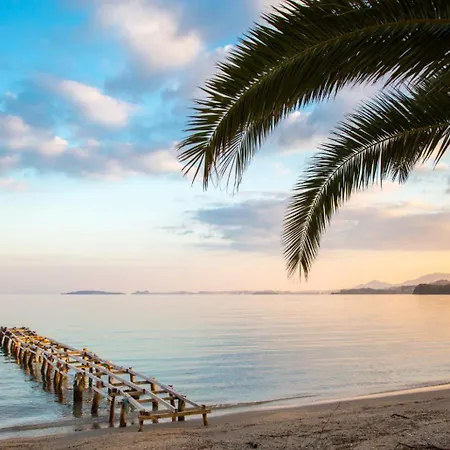 Bougainvillea * Гимари