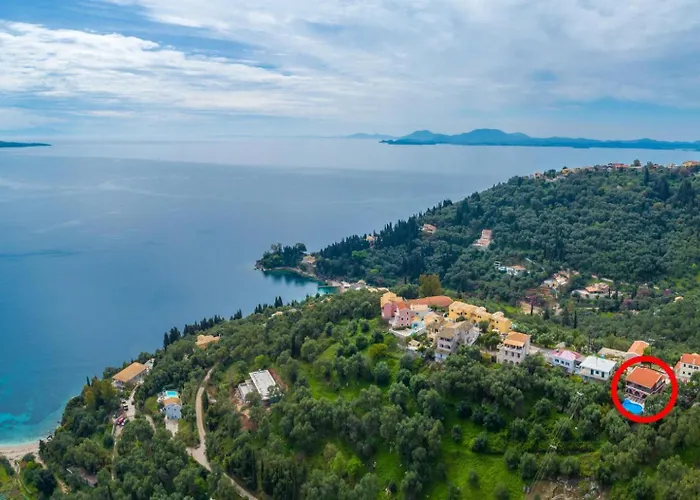 Bougainvillea * Gimari